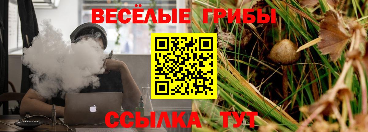 Псков  Галлюциногенные грибы Psilocybine cubensis  Вход с VPN 