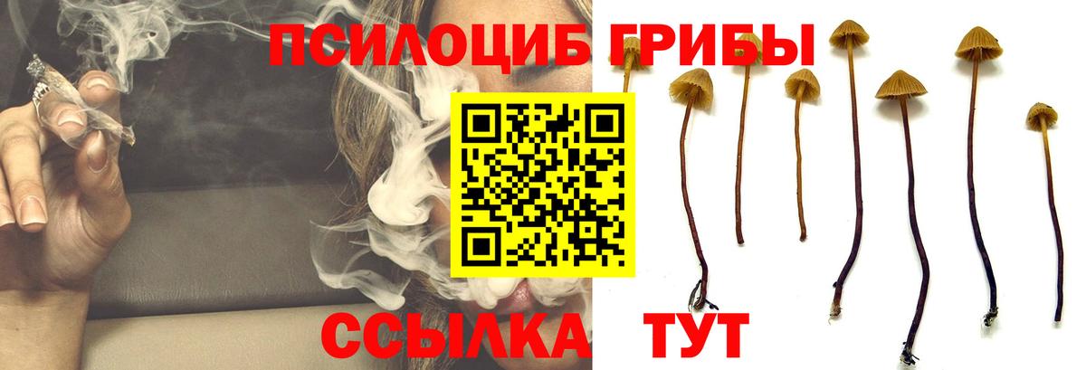 Галлюциногенные грибы мицелий Псков